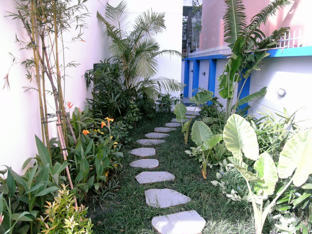 Archi - Sỏi đá trong thiết kế sân vườn